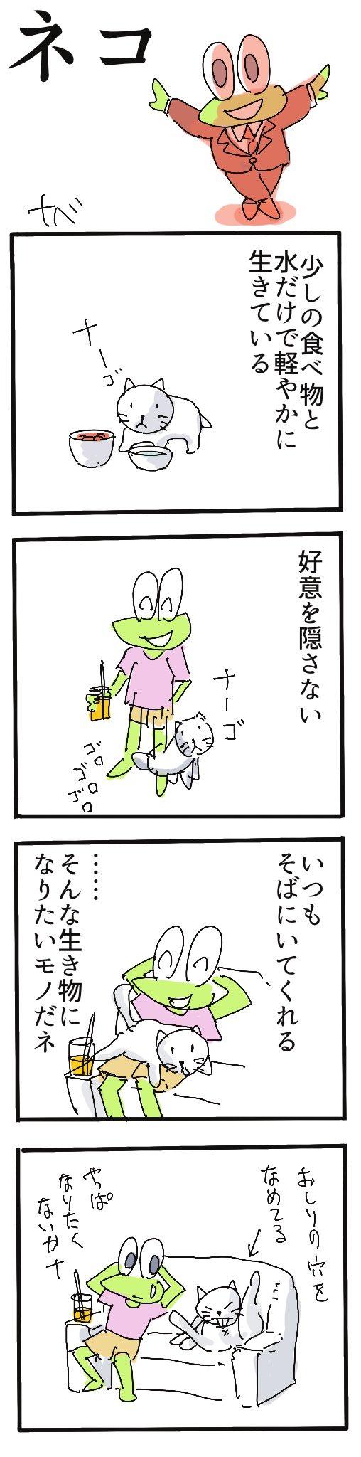 ネコ.jpg